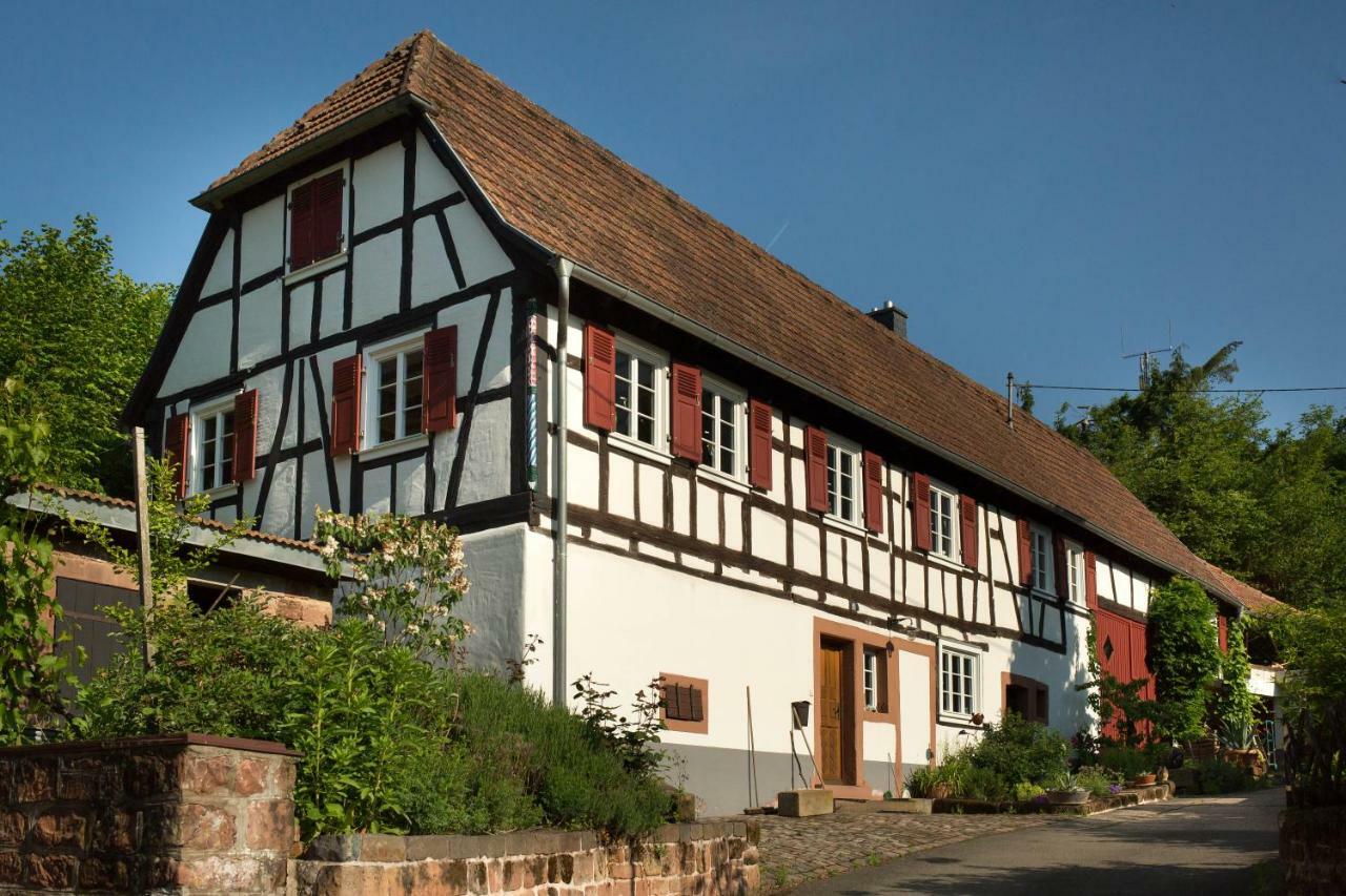 Feriengaleriewohnung Im Denkmal Stilvoll-Komfortabel Baubiologisch Erlenbach  Zewnętrze zdjęcie